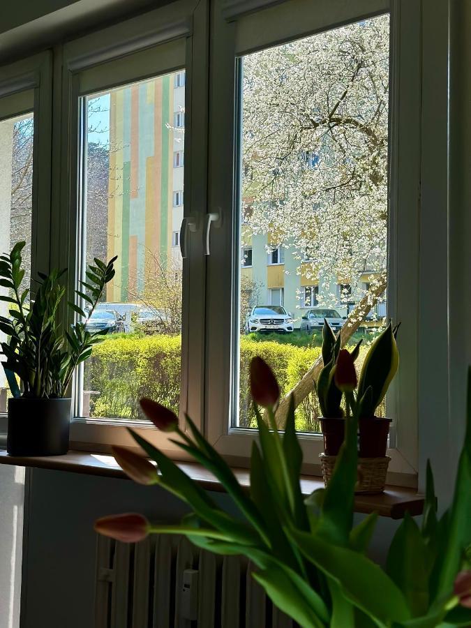 Uroczy Apartament - سوبوت المظهر الخارجي الصورة